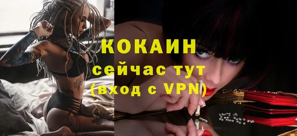 МДПВ Пересвет