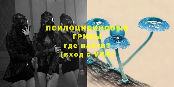 экстази Гвардейск