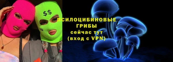 эйфоретик Переславль-Залесский