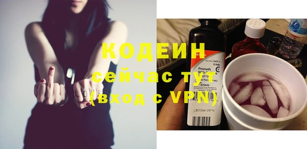 МДПВ Пересвет