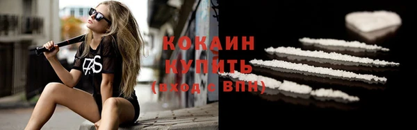 МДПВ Пересвет