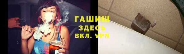 МДПВ Пересвет