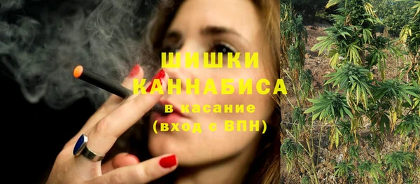 МДПВ Пересвет