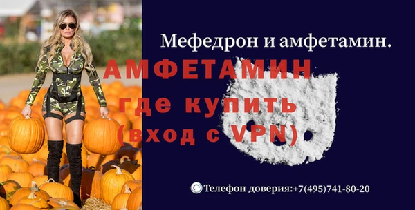 МДПВ Пересвет