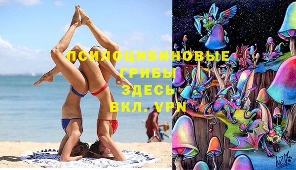 МДПВ Пересвет