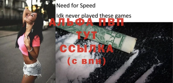 МДПВ Пересвет
