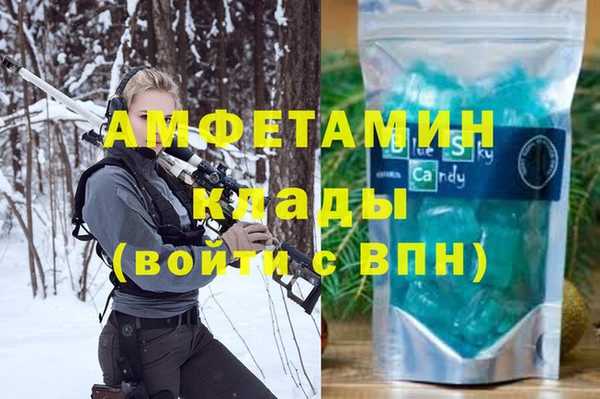 МДПВ Пересвет