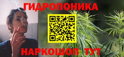 индика Гай