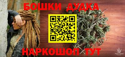 наркотики Гатчина