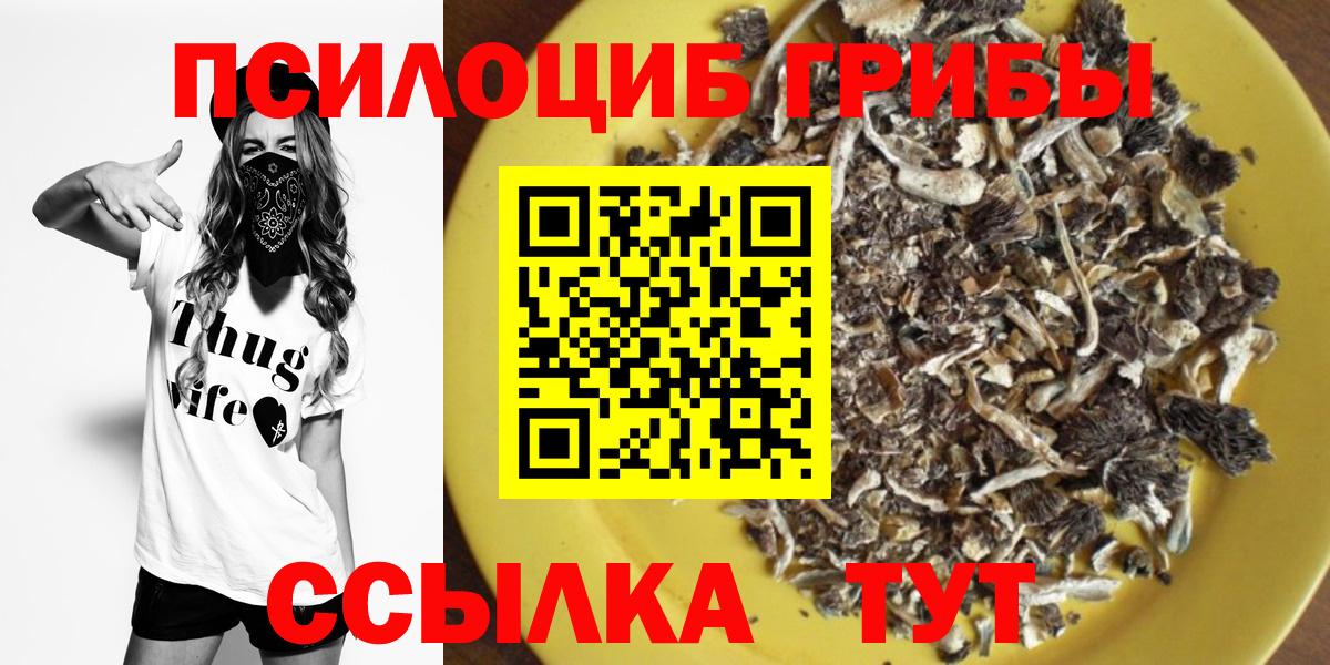 Псилоцибиновые грибы Cubensis Югорск
